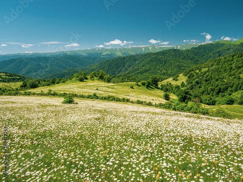 Summer scene of flowering meadow in Lesser Caucasus mountains.