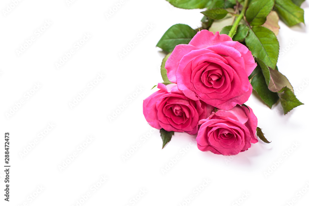Beautiful rose flowers bunch isolated on white background Beautiful rose flowers bunch isolated on white background