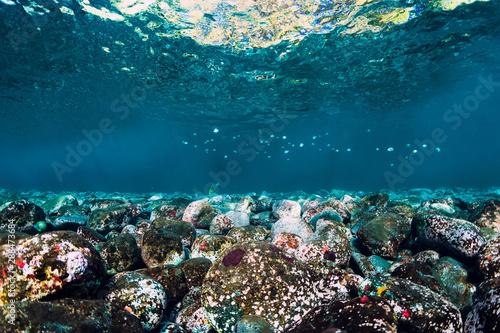 Underwater scene with stones, copy space. Tropical ocean