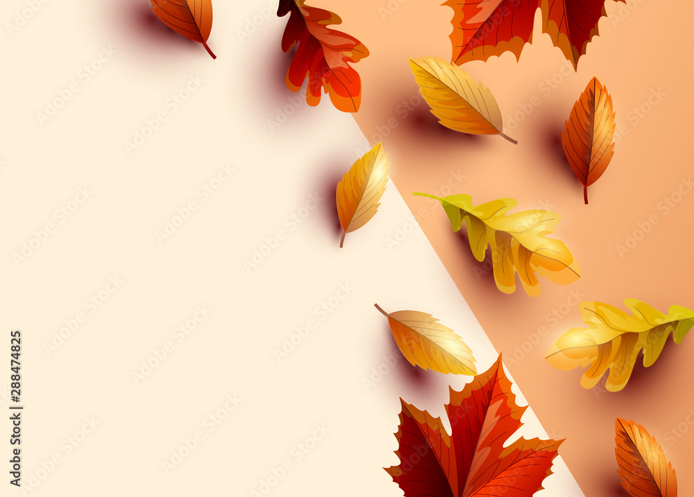 Autumn themed background with colourful leaves, vector illustration.