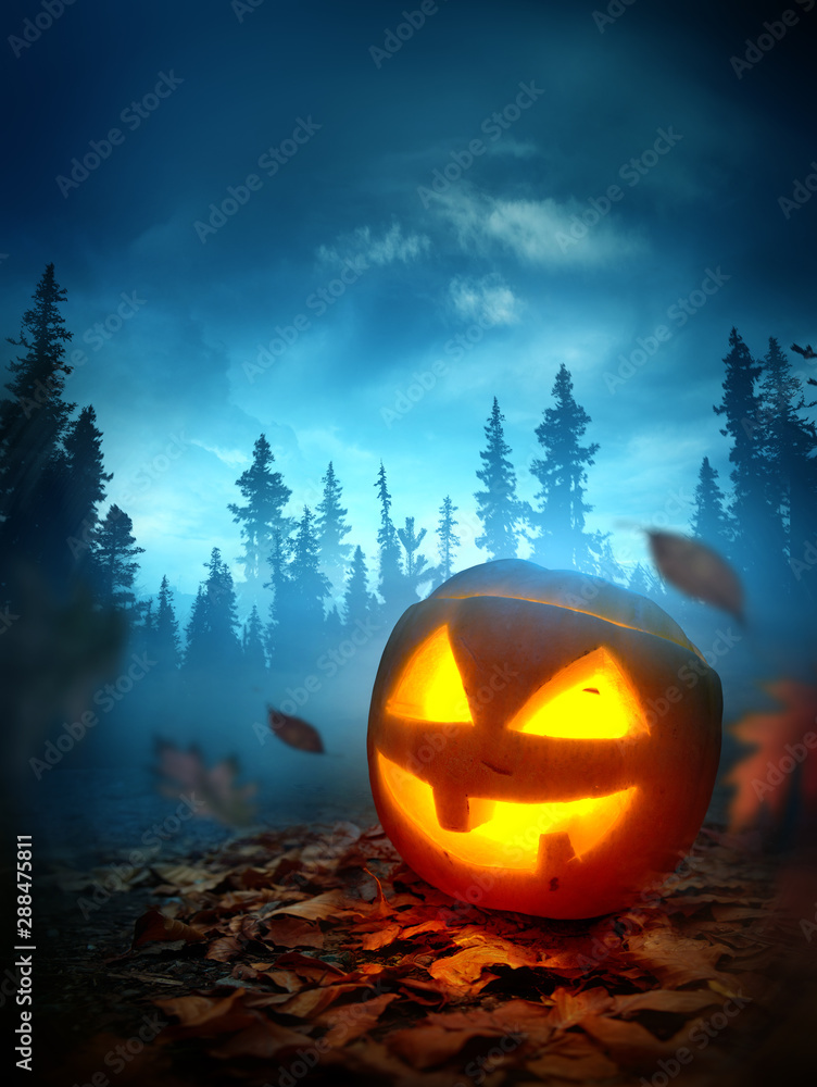 A halloween background with a glowing spooky Jack O Lantern pumpkin outside  at night with a forest in the background. Photo composite. Stock Photo |  Adobe Stock