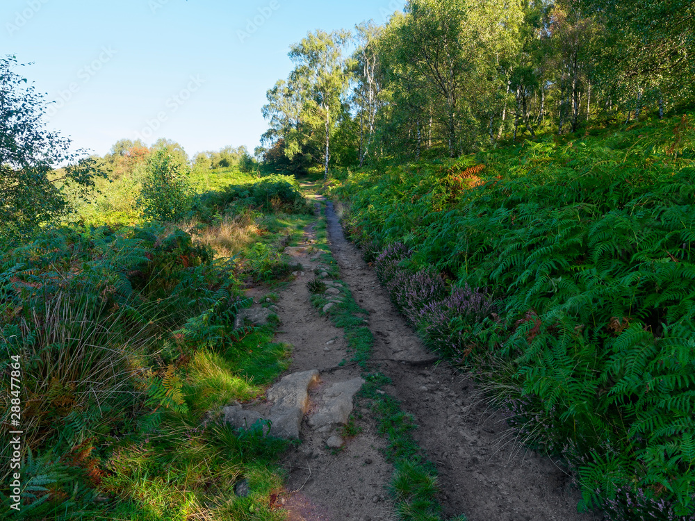 Rock strewn footpath at the bottom of a wooded hillside. Rock strewn footpath at the bottom of a wooded hillside.