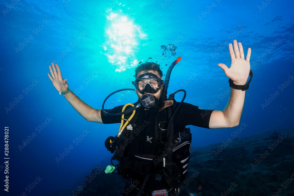 Diving the Red Sea, Egypt Diving the Red Sea, Egypt