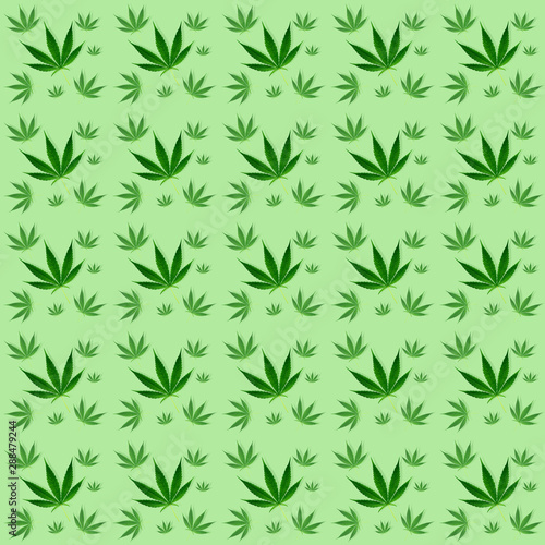marijuana leaves seamless pattern background © anankkml