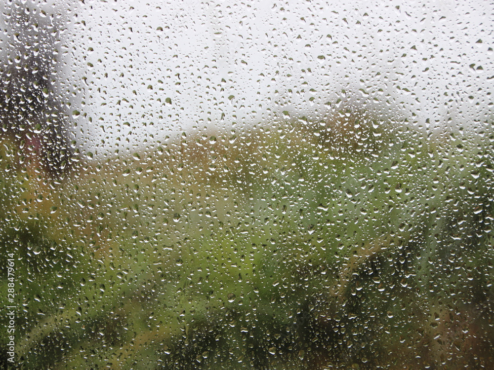 Raindrops on Window with Green Garden Background Raindrops on Window with Green Garden Background