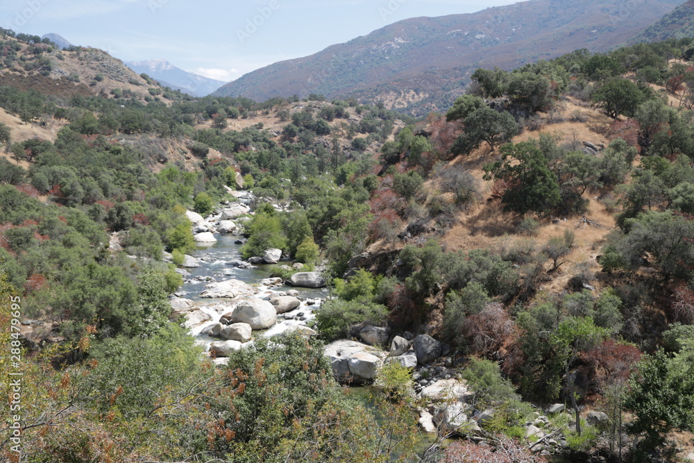   in USA inside sequoia national  park