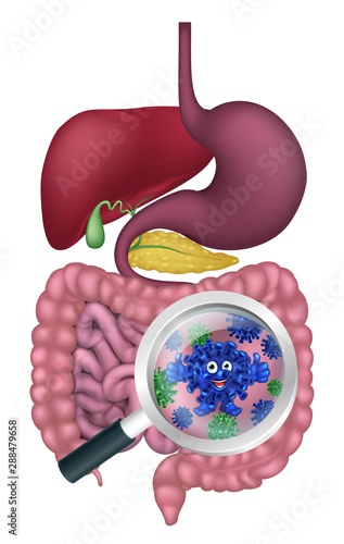 Cute gut bacteria cartoon mascot being shown with a magnifying glass. Could be result of probiotics promoting good digestive flora or other microbes.