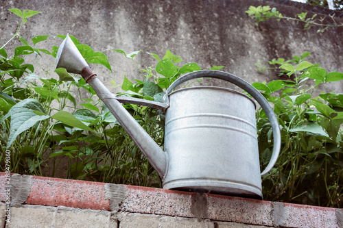 Grey Metal Watering Can in a garden photo