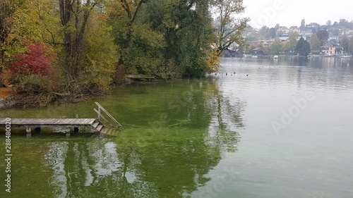 natural pool in green
