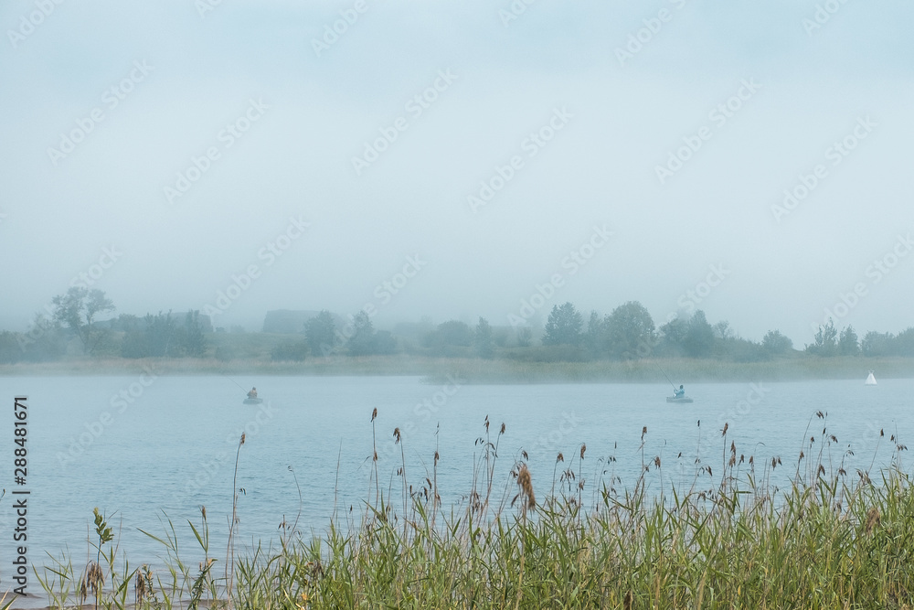 morning fog on the lake