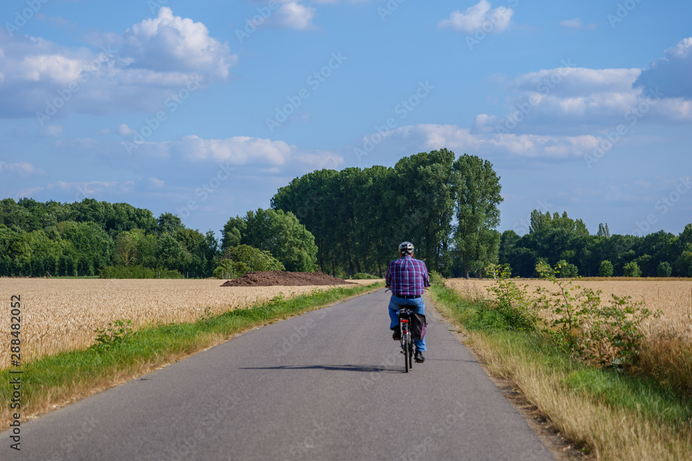 Outdoor sunny view of cyclist ride a bicycle on small road in suburb area surrounded with agricultural field with golden wheat, barley and oat field in summer season against blue sky in Germany. Outdoor sunny view of cyclist ride a bicycle on small road in suburb area surrounded with agricultural field with golden wheat, barley and oat field in summer season against blue sky in Germany.