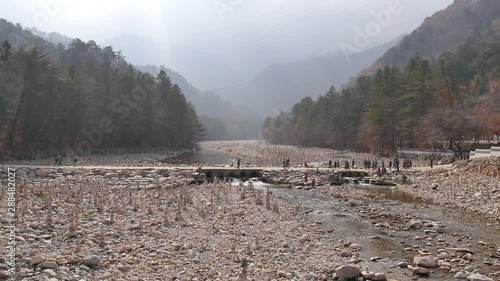 rock on the river 돌 개천 강 한국 photo