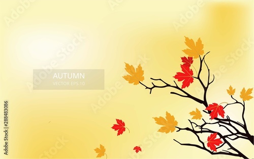 Autumn Vector Background  Realistic Autumn vector background
