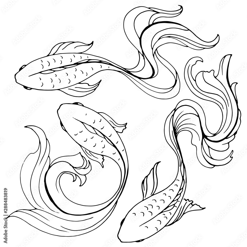 Obraz premium set of drawings pencil stylized fish