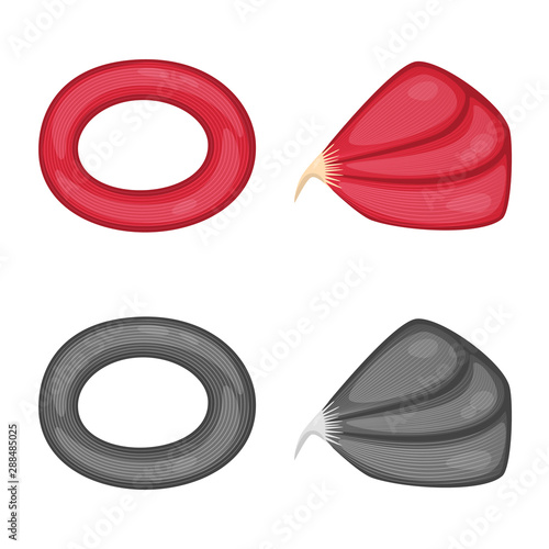 Vector illustration of fiber and muscular symbol. Collection of fiber and body vector icon for stock.