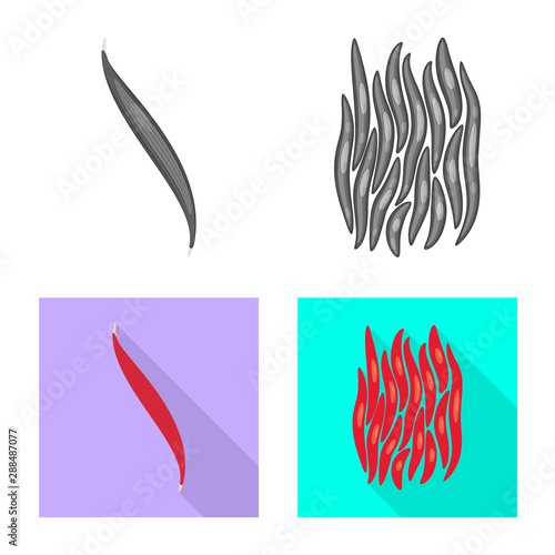 Vector illustration of fiber and muscular sign. Set of fiber and body stock vector illustration.
