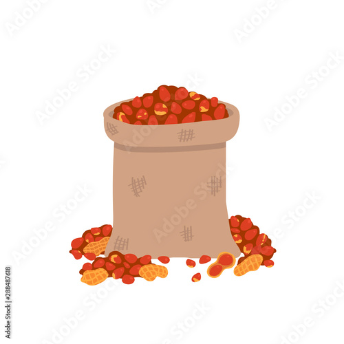 Peanuts in a bag Isolated on a white background.Vector illustration in freehand drawn style