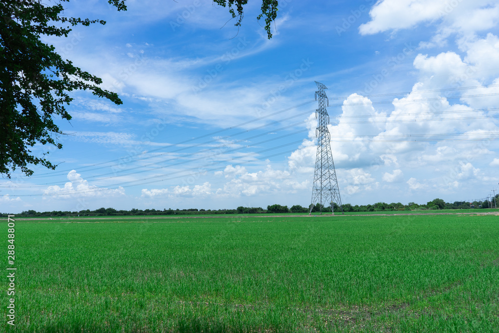 High voltage electricity poles in the rice field