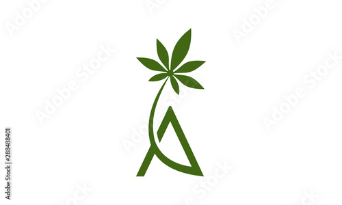 Letter A with cannabis, CBD oil, 