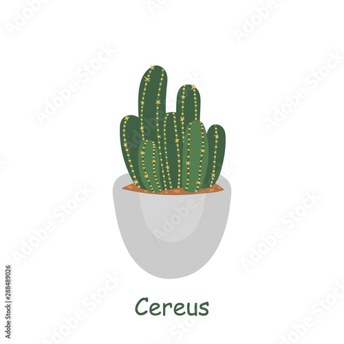 Cereus plant isolated on a white background. Cute cactus. Vector illustration in cartoon style photo