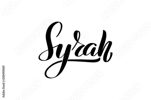 Inspirational handwritten brush lettering . Vector calligraphy illustration