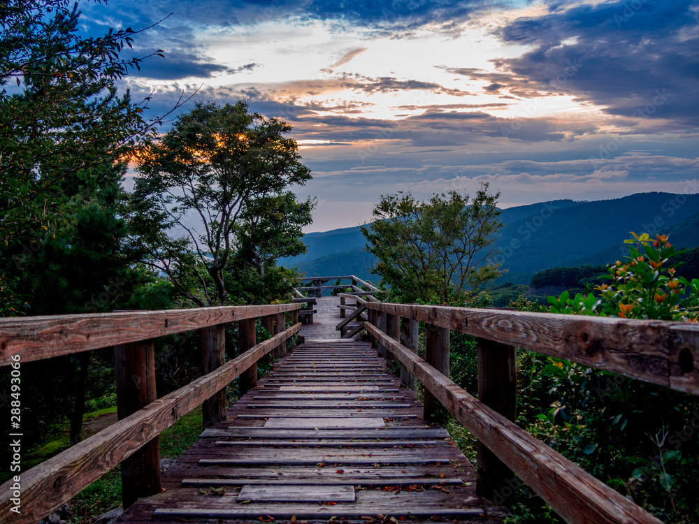 Obraz premium 【静岡県伊豆市】戸田峠展望台からの夕景【夏】