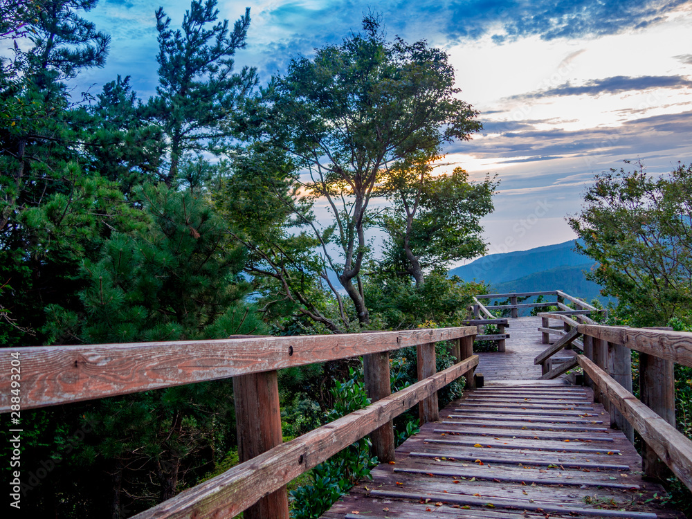 Obraz premium 【静岡県伊豆市】戸田峠展望台からの夕景【夏】