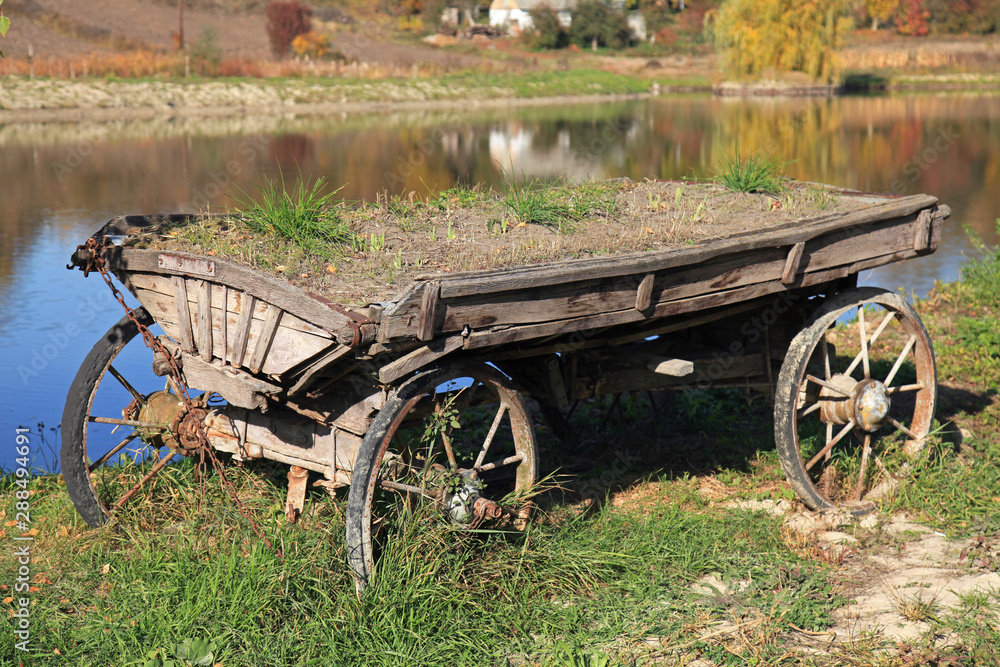 Old and abandoned wooden traditional cart (wain) in far Ukrainian village in Kiev region. The ancient Ukrainian peasants transport, Ukrainian custom and traditions