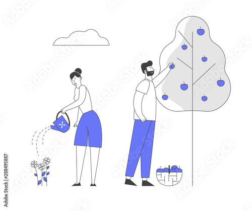Man and Woman Farmers Working in Garden Watering Flowers and Pick Apple Harvest to Basket. Gardeners Characters Harvesting Ripe Fruits from Tree in Country Cartoon Flat Vector Illustration, Line Art