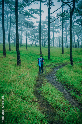 The traveler walks through green in pine forest at Phu soi Dao, Uttaradit, Thailand