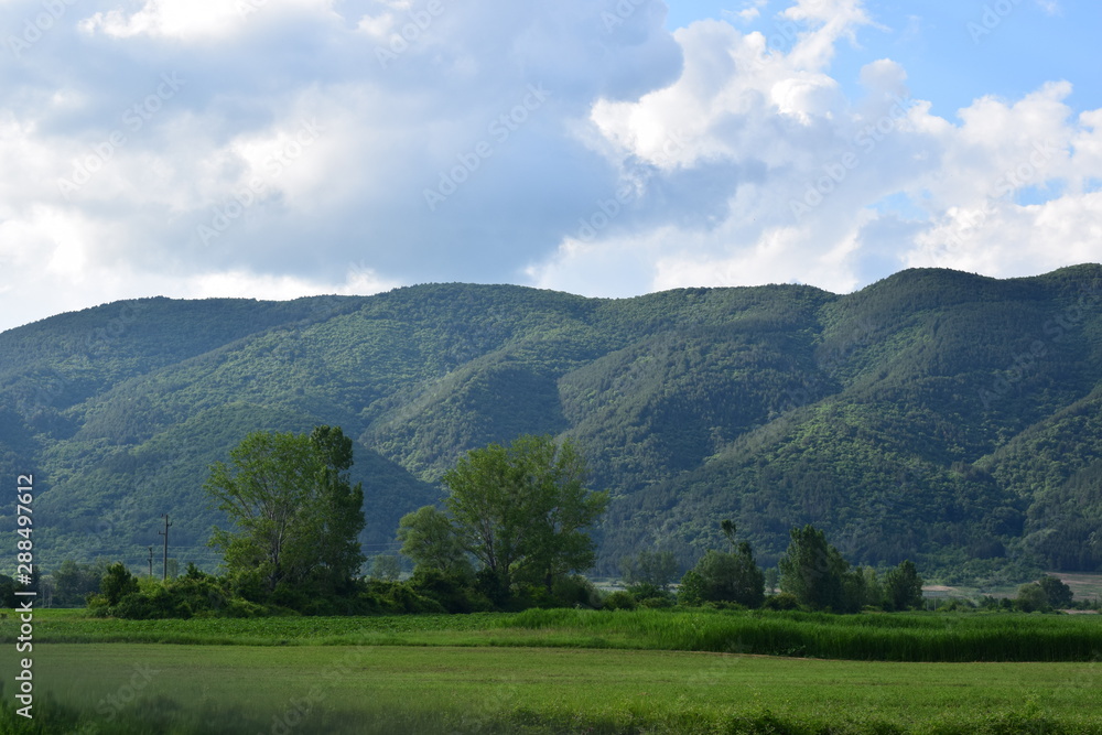 scenery of trees and mountains scenery of trees and mountains