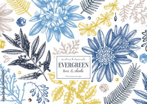 Christmas greeting card or invitation design. Vector frame with hand drawn evergreen trees and shrubs. Vintage background with cypress, berberis, laurel, skimmia, rhododendron, yew, holly illustration
