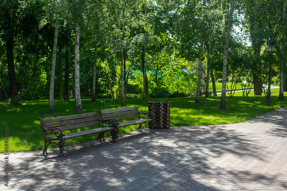Scenic view of the park in the center of the big city in the spring. In the atmosphere of natural light Scenic view of the park in the center of the big city in the spring. In the atmosphere of natural light