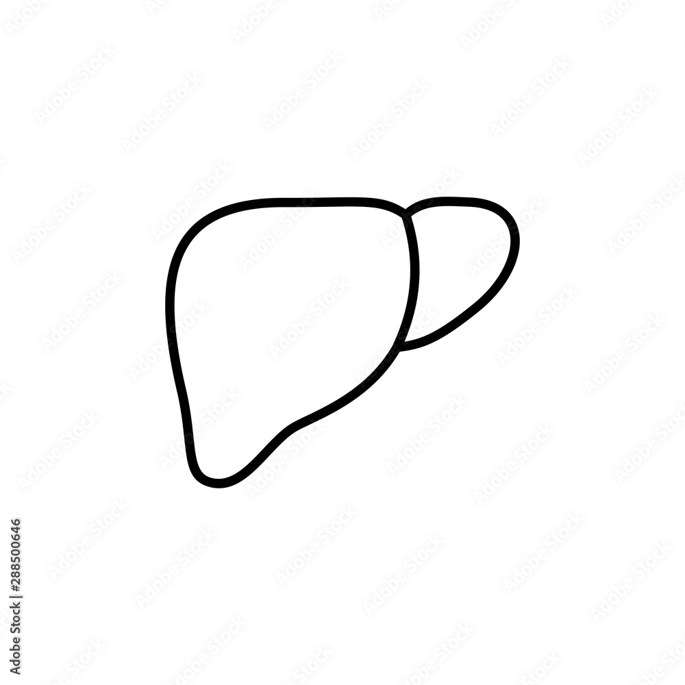 liver linear icon isolated pictogram human internal organ, symbol liver linear icon isolated pictogram human internal organ, symbol