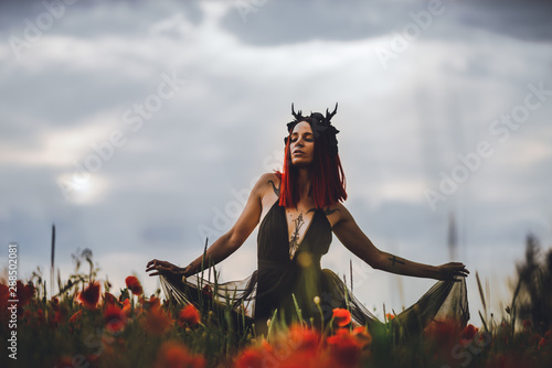 Fotografi Tätowiertes Model (Maleficent) im Mohnblumenfeld