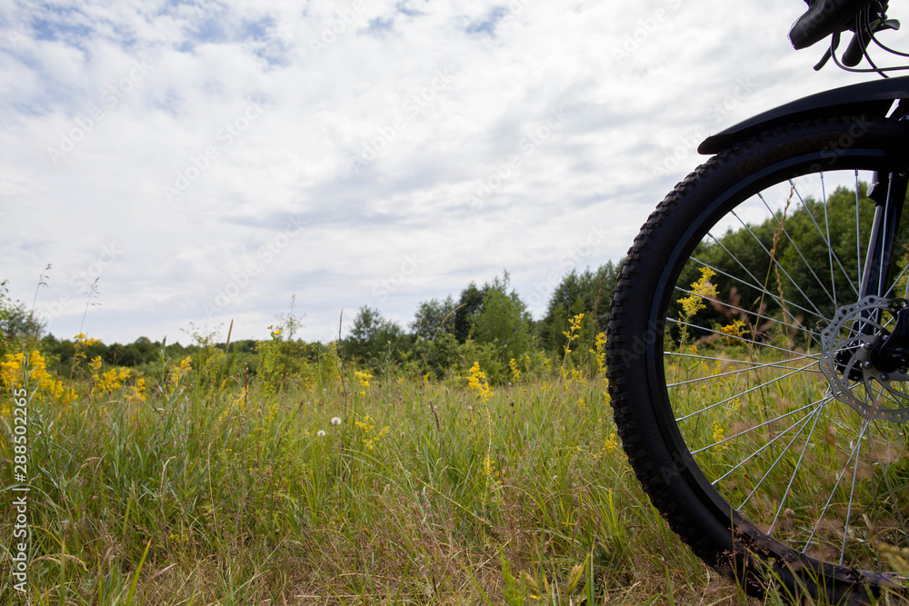 A child travels by bicycle across the field. A child travels by bicycle across the field.