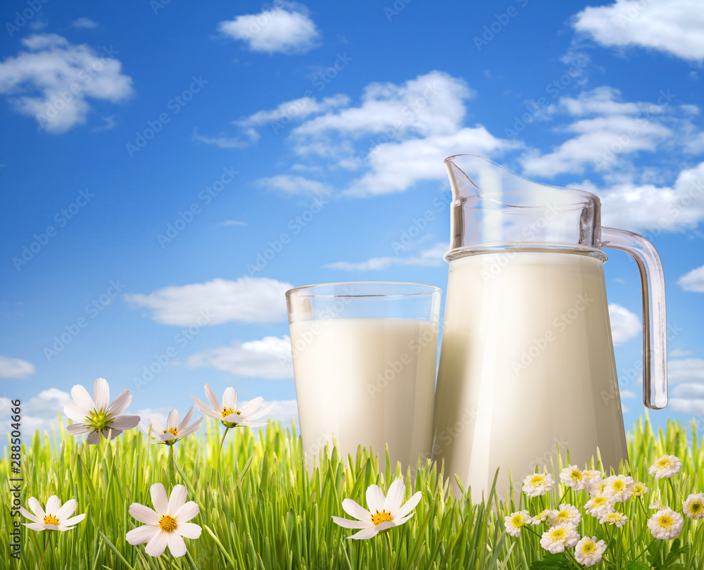 glass of milk and jug in grass glass of milk and jug in grass