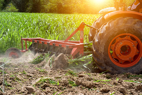 Принти на полотні Agricultural workers and tractors, tillage machines, tillage and plowing for far