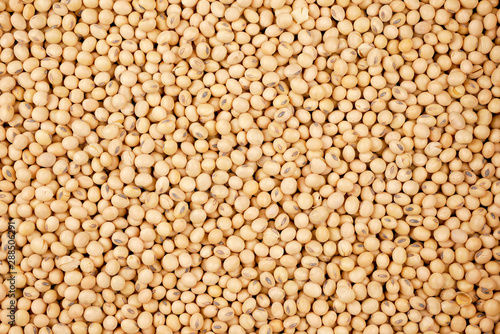 soybean beans background, seeds food raw material,delicious dishes seed bean agricultural product photo
