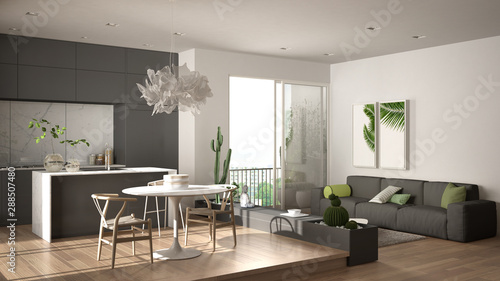 Eco green interior design, white and gray living room with sofa, kitchen, dining table, succulent potted plants, parquet floor, window on panoramic balcony. Sustainable architecture