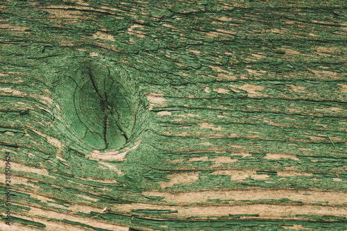 Abstract wood texture with peeling paint. green wooden backdrop. shabby painted wood