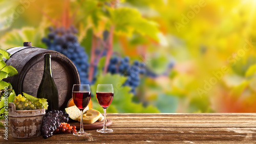 Vines with grapes and old c...