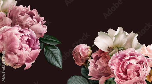 Fototapeta Naklejka Na Ścianę i Meble -  Floral banner, flower cover or header with vintage bouquets. Pink peonies, white roses isolated on black background.