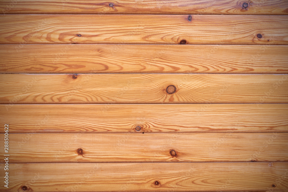 Fototapeta premium layers of wood pattern with buds