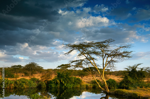 Beautiful African landscape, in Tanzania. © lucaar