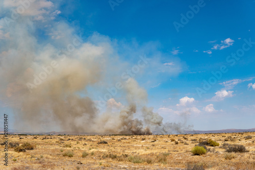 Desert Field on fire