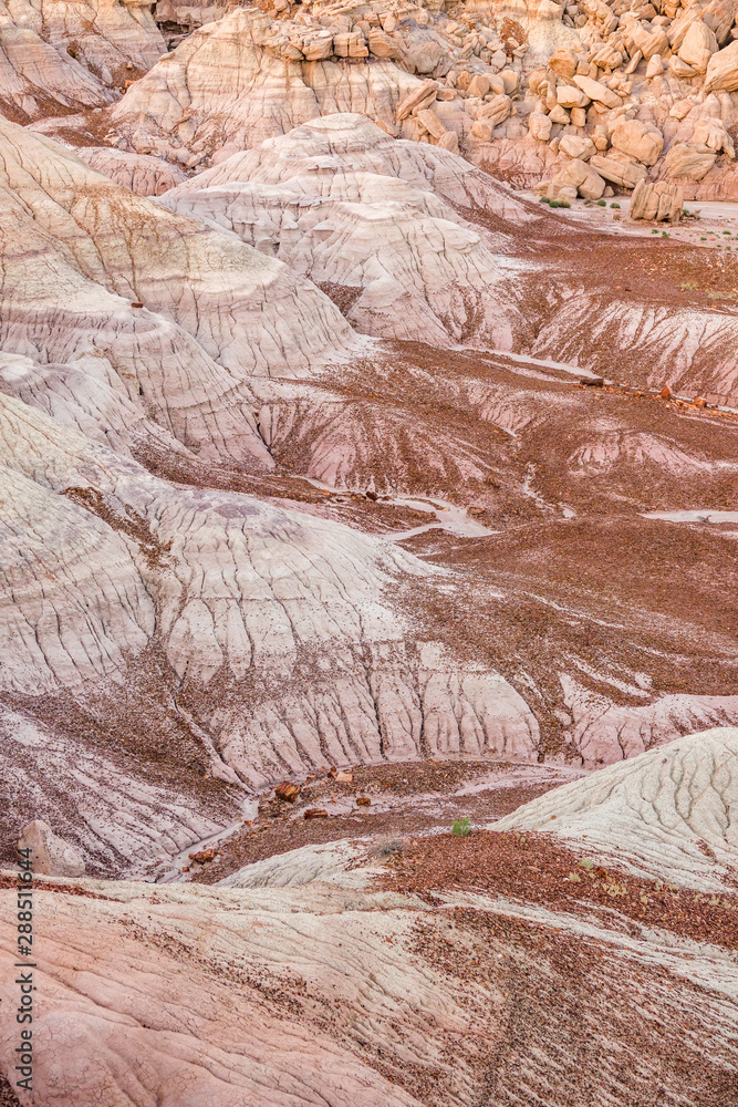 Painted Desert landscape at Petrified Forest National Park