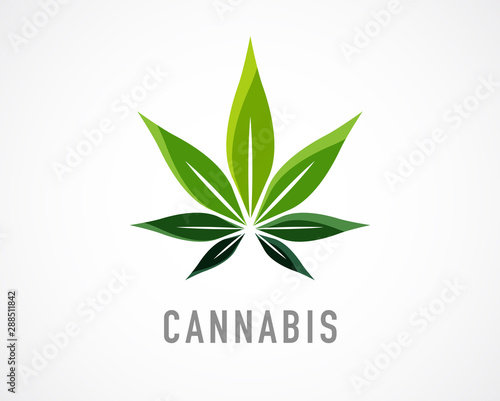 Cannabis leaf, medical marijuana, CBD oil, symbol and logo. Vector design