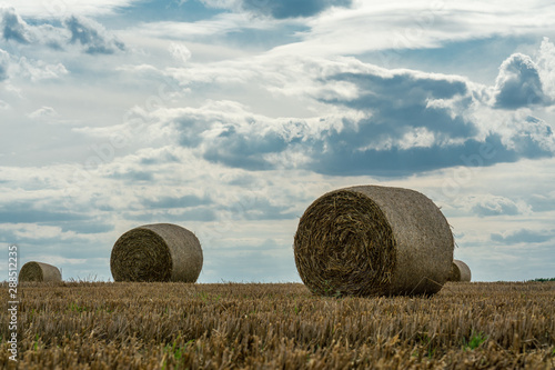 Cheerful autumn scene with round bales of straw on a mown cereal field