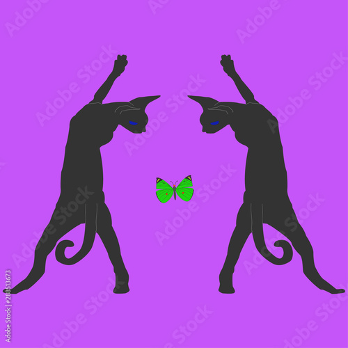 Two Canadian sphinxes on their hind legs in mirror reflection look at a green butterfly on a purple background